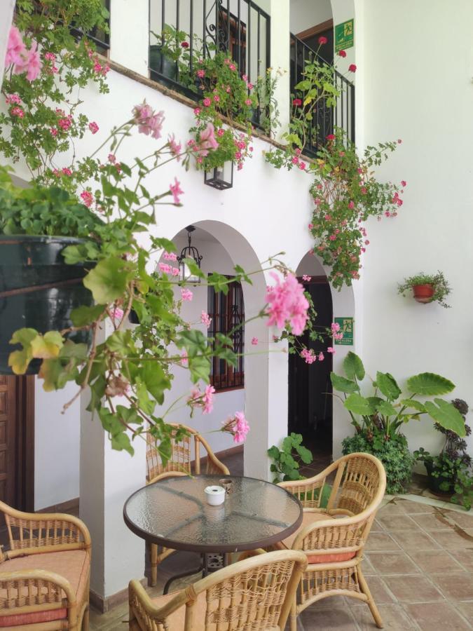 Hospederia Casa De Las Piedras 그라잘레마 외부 사진