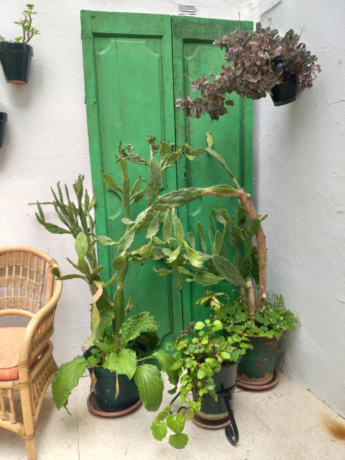 Hospederia Casa De Las Piedras 그라잘레마 외부 사진